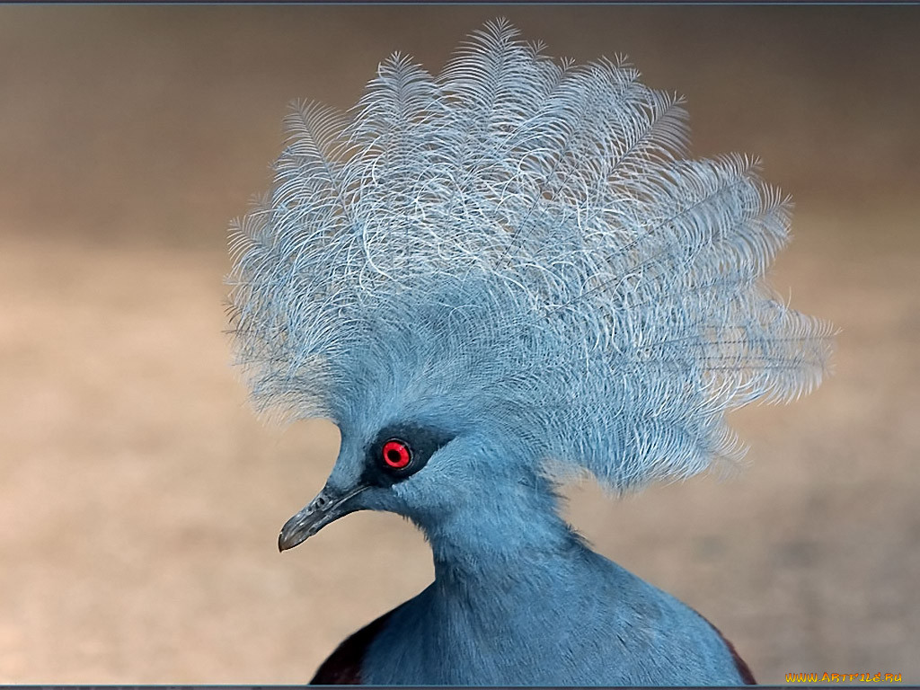 , , , , , , , , 